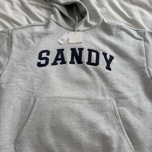 Gap x Sandy Liang grey hoodie Size Large BNWT